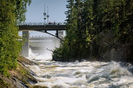 Как мы ездили на водопад Иматранкоски
