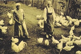 «Куриная» вечеринка в Тиккурила, или Чем занимаются «Марты»